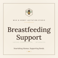 Breastfeeding Support Session